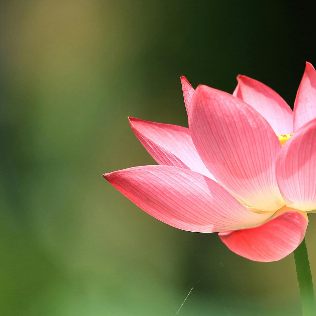 LEZING: Effectieve spiritualiteit als basis voor een gezonde samenleving - Jan Storms - Bergen op Zoom, 21 mei